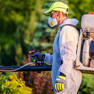 Pest control person 2