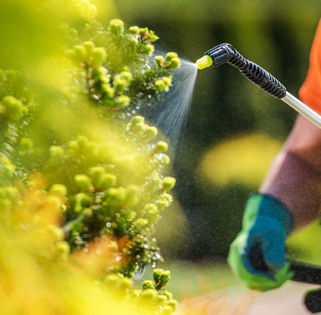 Pest Control Spray