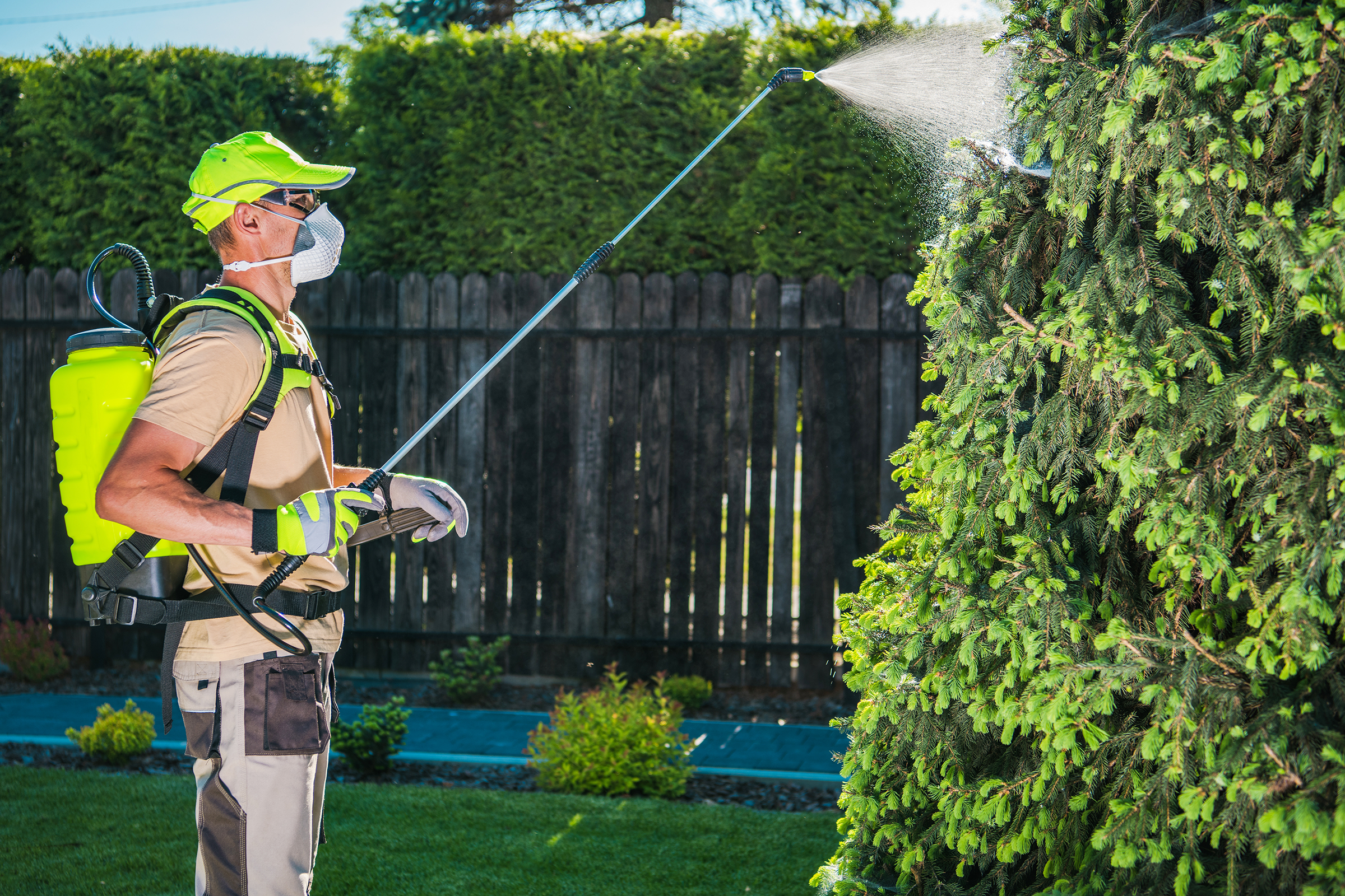 Outdoor Pest Control Beverly Hills